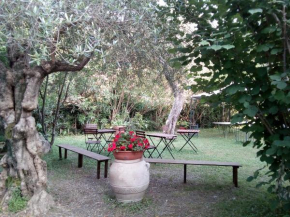 Gli Ulivi Bed & breakfast